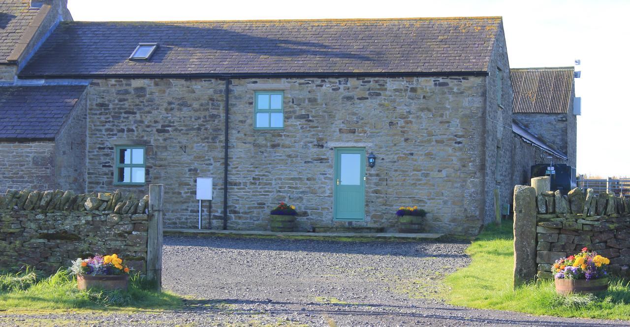 High Keenley Fell Farm Allendale Exterior photo